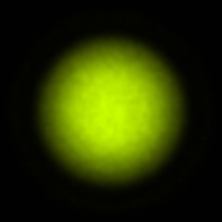 BRX_VrSE13d_NIO3755