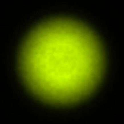 BRX_VrSE13d_NIO4260