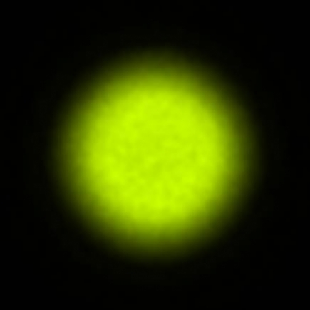BRX_VrSE18b_NIO4155