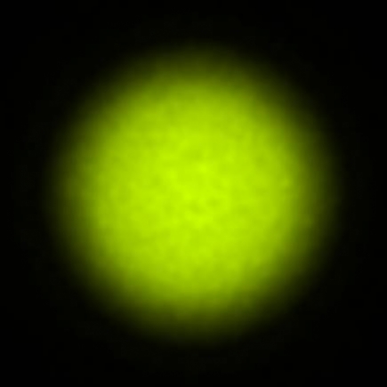 BRX_VrSE18b_NIO4460