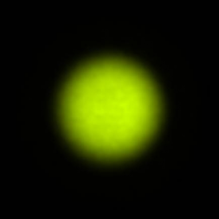 BRX_VrSE18d_NIO3145