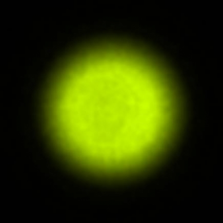 BRX_VrSE18d_NIO4256