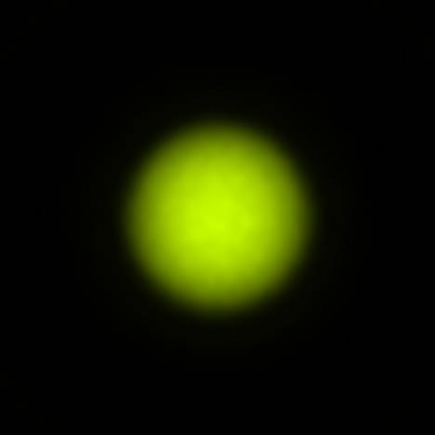 BRX_VrSE29c_NIO2637