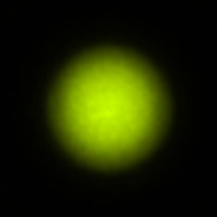 BRX_VrSE29c_NIO3148