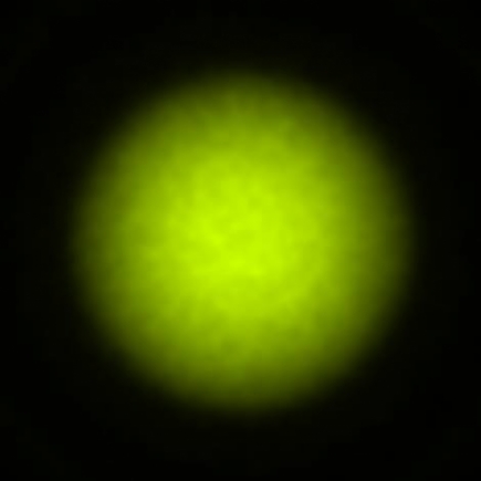 BRX_VrSE29c_NIO3858