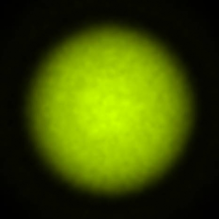 BRX_VrSE29c_NIO4665