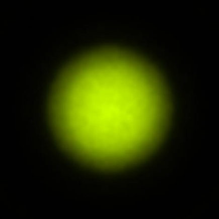 BRX_VrSE29d_NIO3244