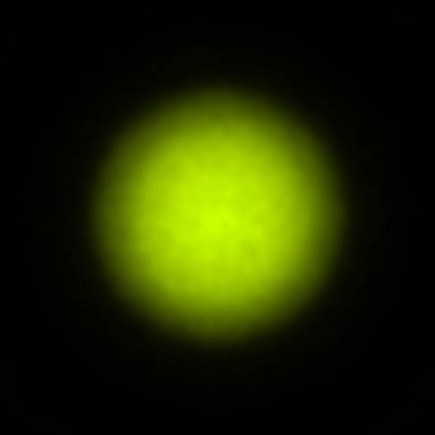 BRX_VrSE29d_NIO3148
