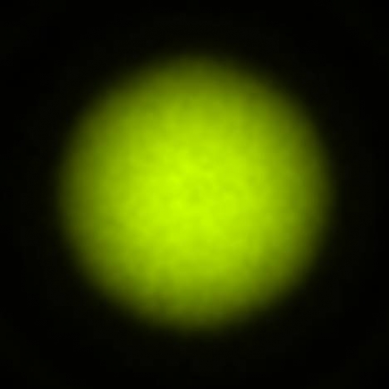 BRX_VrSE29d_NIO4058