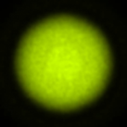 BRX_VrSE29d_NIO4865