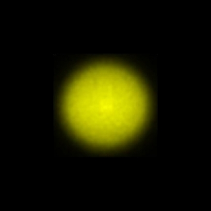 CTZ_CLL022V2a_NIO4152