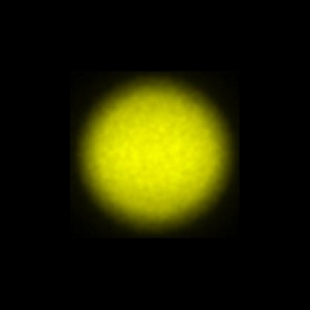 CTZ_CLL022V2a_NIO4757