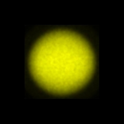 CTZ_CLL022V2a_NIO5467
