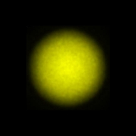 CTZ_CLL022V2b_NIO5067