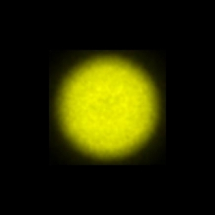 CTZ_CLL022V2b_NIO5362