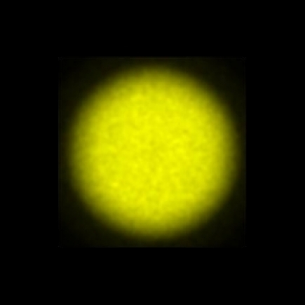 CTZ_CLL022V2b_NIO6070