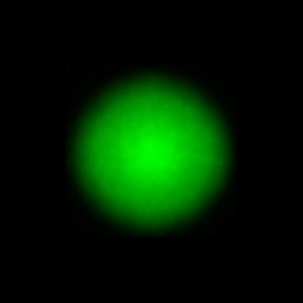 CTZ_CLU024V3c_NIO4258