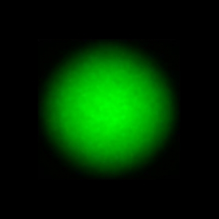 CTZ_CLU024V3c_NIO4767