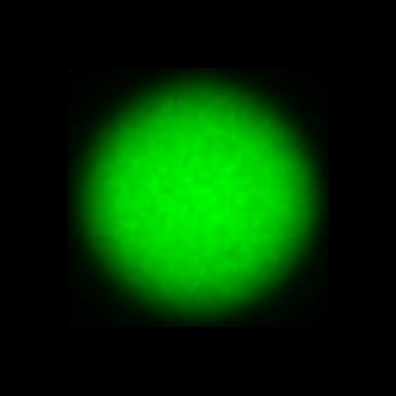 CTZ_CLU024V3c_NIO5570