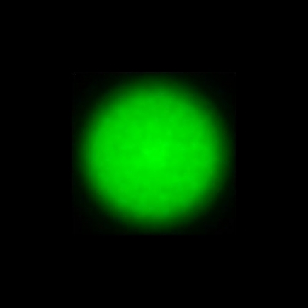 CTZ_CLU026V4a_NIO4552