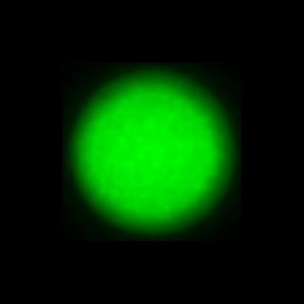 CTZ_CLU026V4a_NIO5163