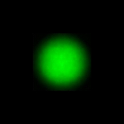 CTZ_CLU026V4b_NIO3649