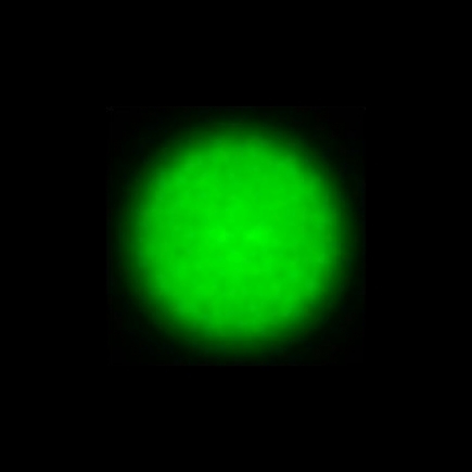 CTZ_CLU026V4b_NIO4755
