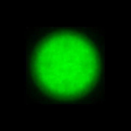 CTZ_CLU026V4b_NIO5365