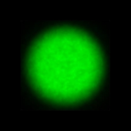 CTZ_CLU026V4b_NIO6075