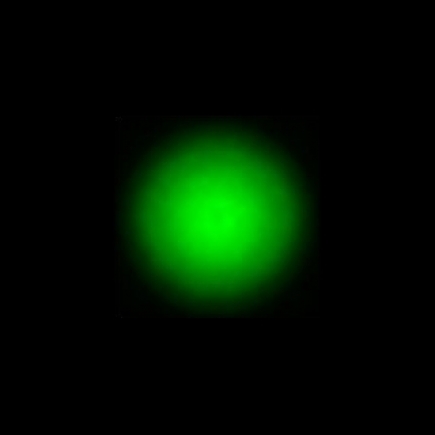 CTZ_CLU028V5a_NIO3246