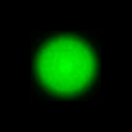 CTZ_CLU028V5a_NIO4655