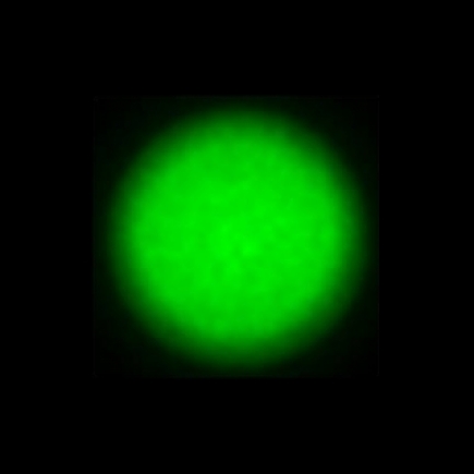 CTZ_CLU028V5a_NIO5265
