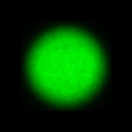 CTZ_CLU028V5a_NIO5975