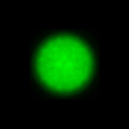 CTZ_CLU028V5b_NIO4755