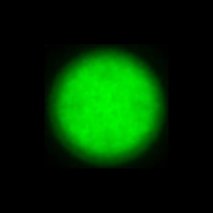 CTZ_CLU028V5b_NIO5365