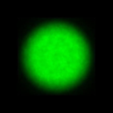 CTZ_CLU028V5b_NIO6174