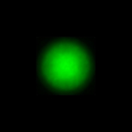 CTZ_CLU028V5b_NIO3244