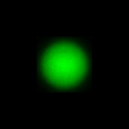 CTZ_CLU711V2a_NIO3445