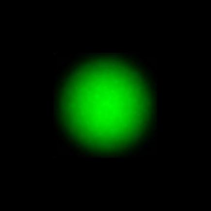 CTZ_CLU700V1a_NIO3850