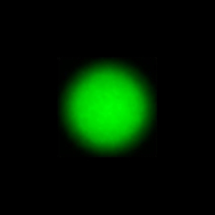 CTZ_CLU710V1a_NIO3847