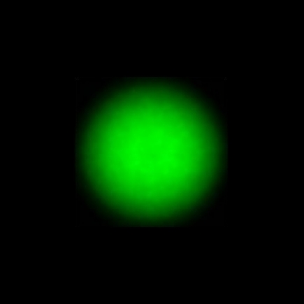 CTZ_CLU701V2a_NIO4052