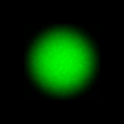 CTZ_CLU710V1a_NIO4562