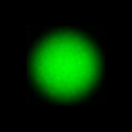 CTZ_CLU711V2a_NIO4662