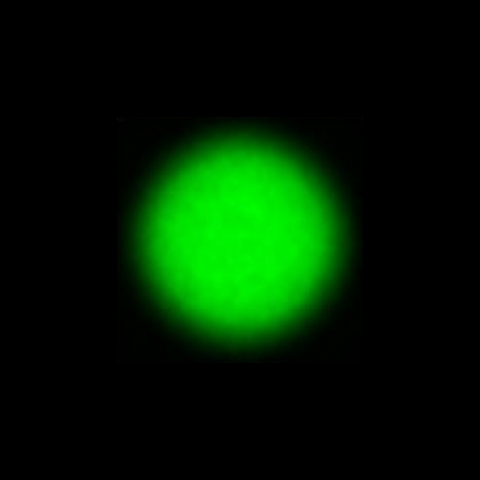 CTZ_CLU720V1a_NIO4655_P