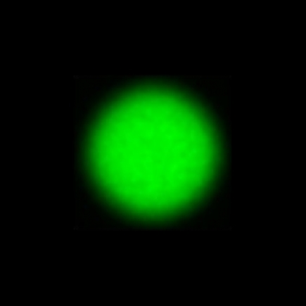 CTZ_CLU720VVDa_NIO4755_P