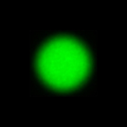 CTZ_CLU721V2a_NIO4856_P