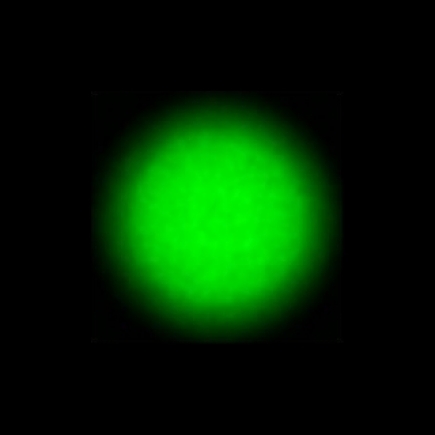 CTZ_CLU720VVDa_NIO4962_P