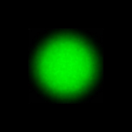 CTZ_CLU720V1a_NIO5160_P