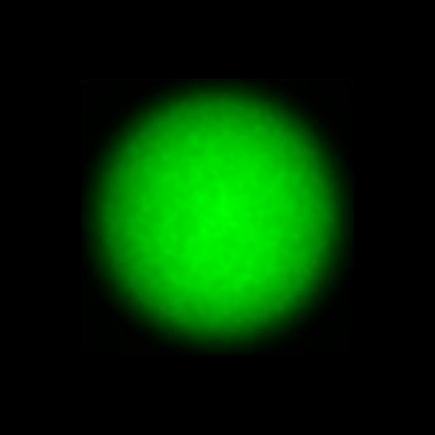 CTZ_CLU700V1a_NIO5268