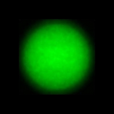 CTZ_CLU700VVDa_NIO5365